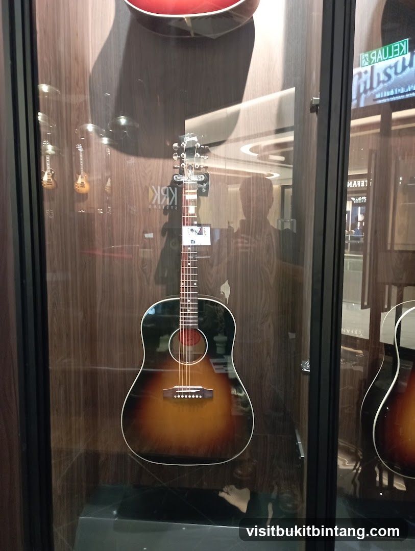 Acoustic Guitar Display