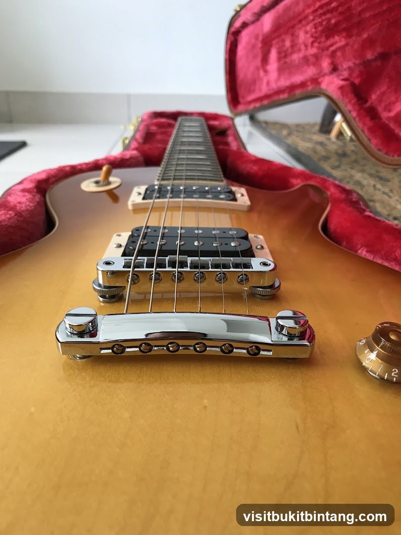 Electric Guitar in Case