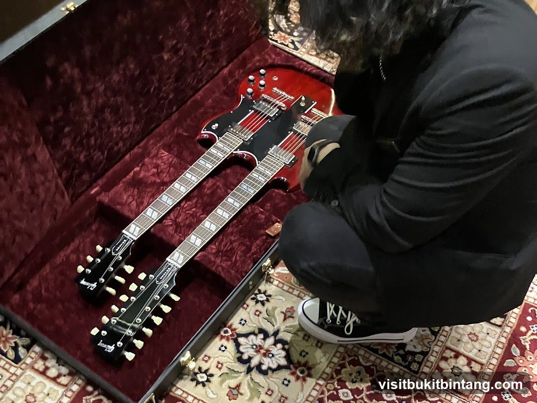 Double-neck guitar in case