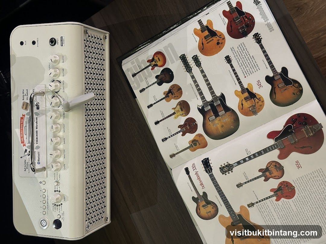 Guitar amplifier and catalog