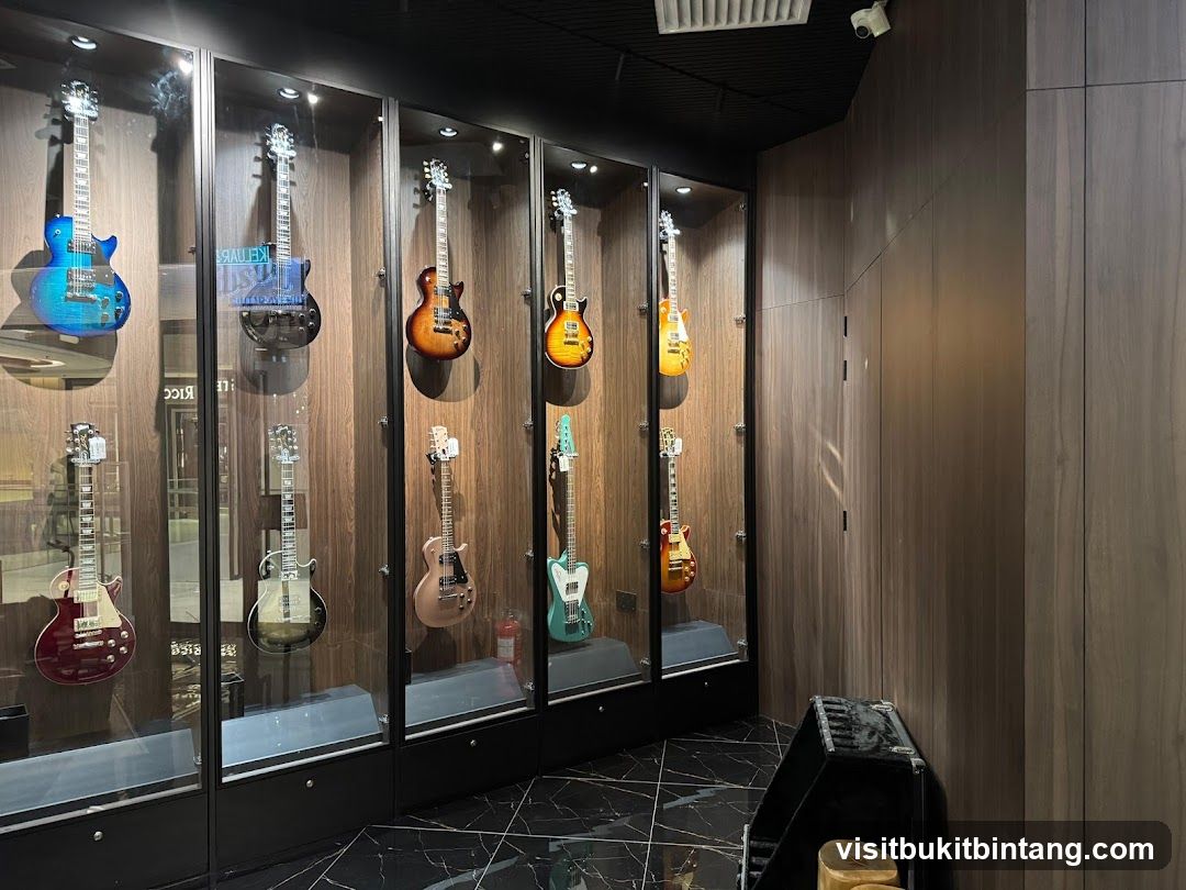 Guitars on Display
