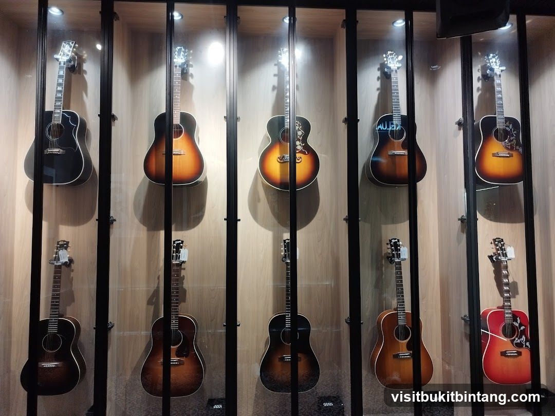 Guitars on Display
