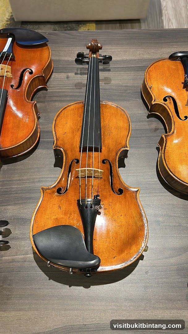 Violins on Display