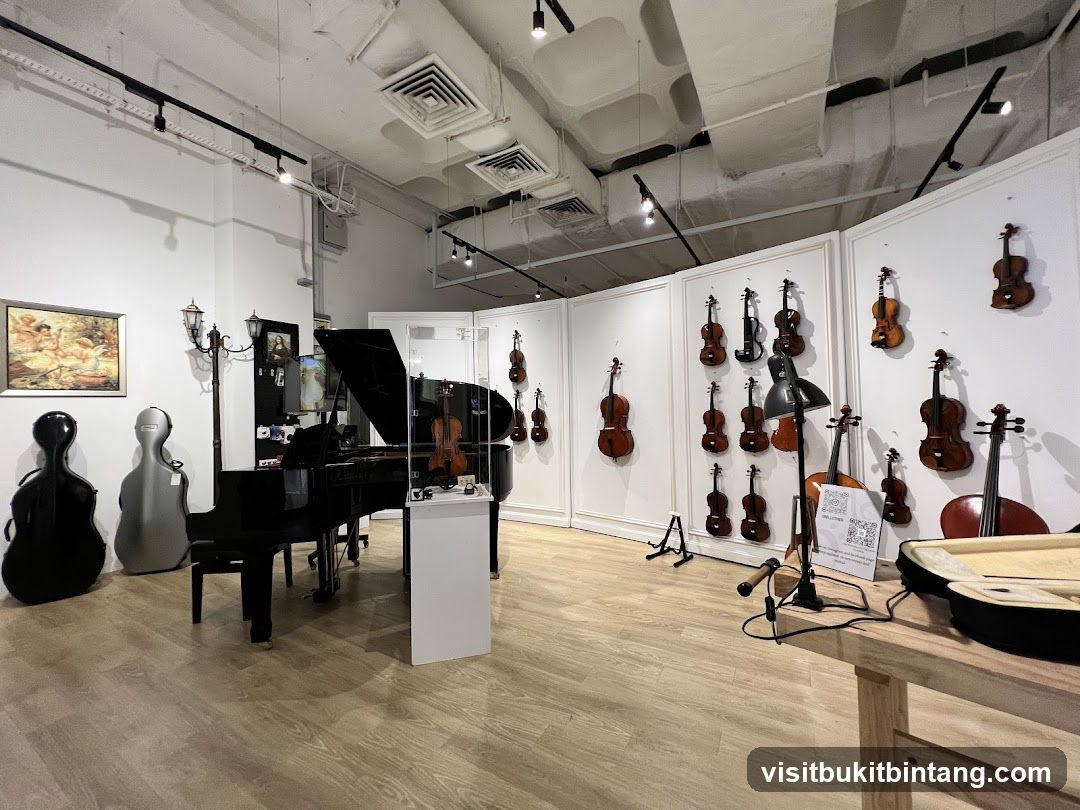 Musical Instrument Store