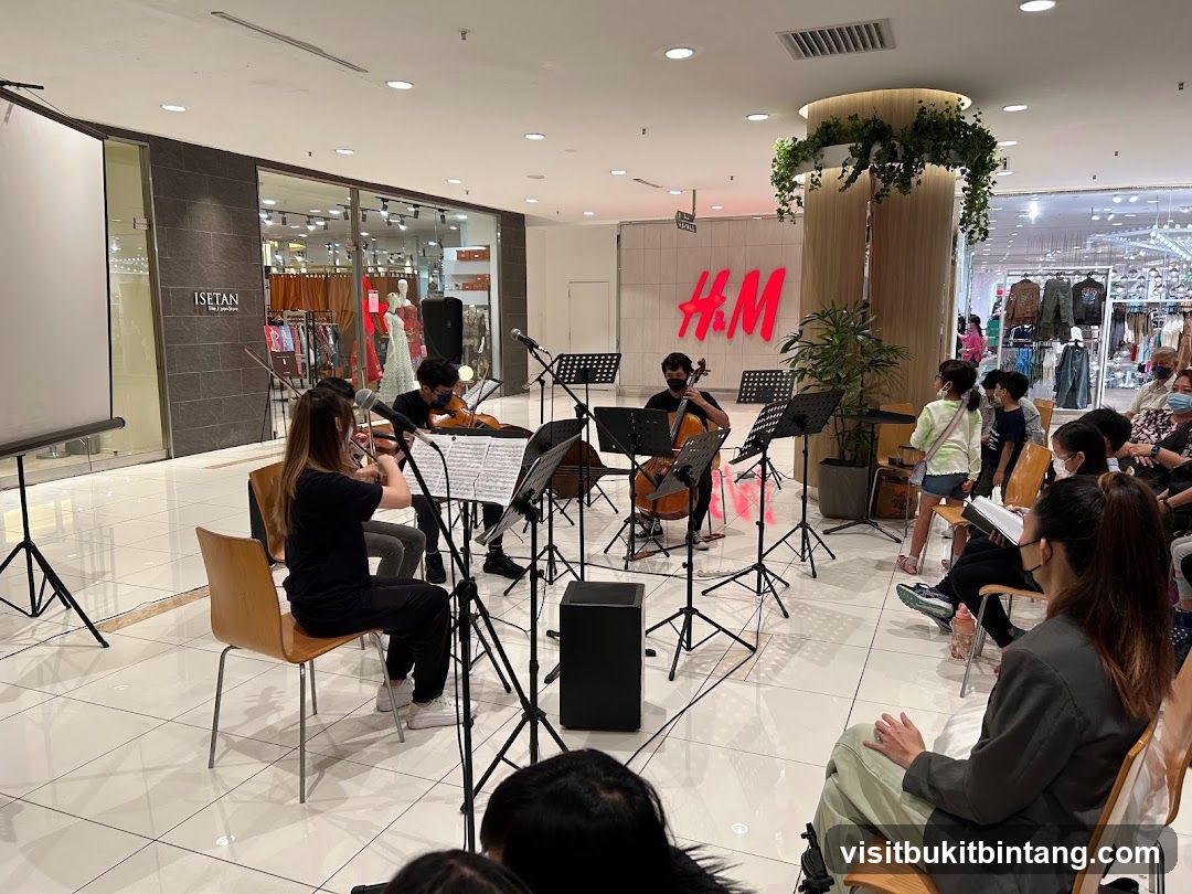 String Quartet Performing in a Mall