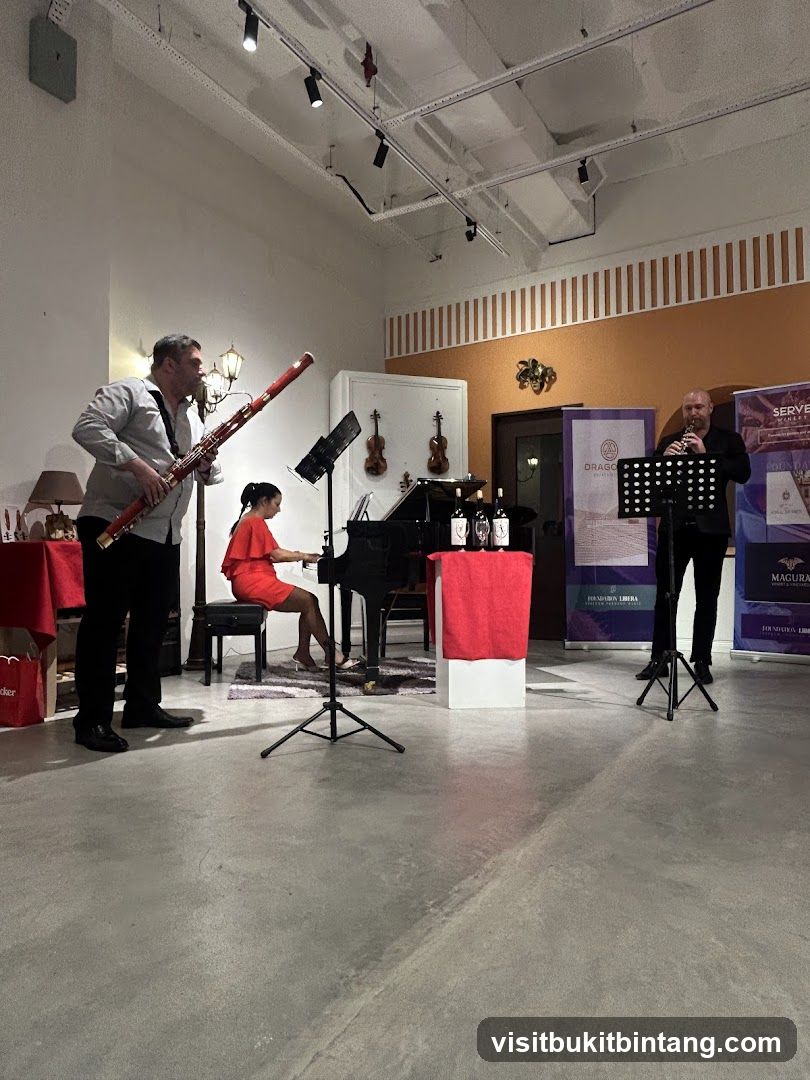 Musicians performing at an event