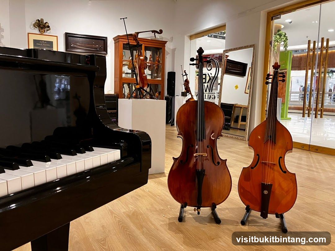 Musical Instruments Display