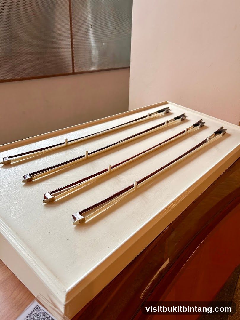 Violin Bows Display