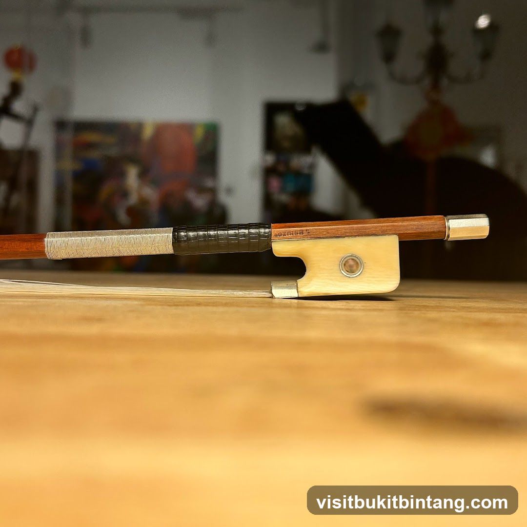 Violin Bow Detail