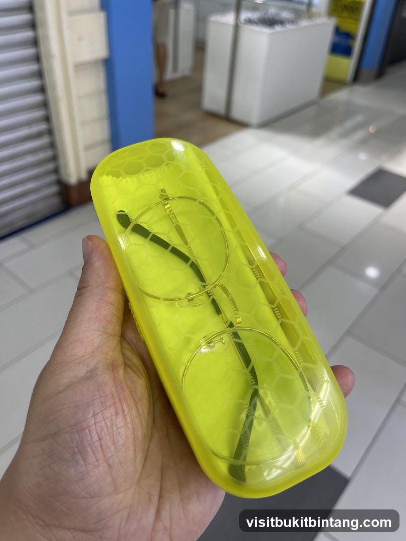 Eyeglasses in Case