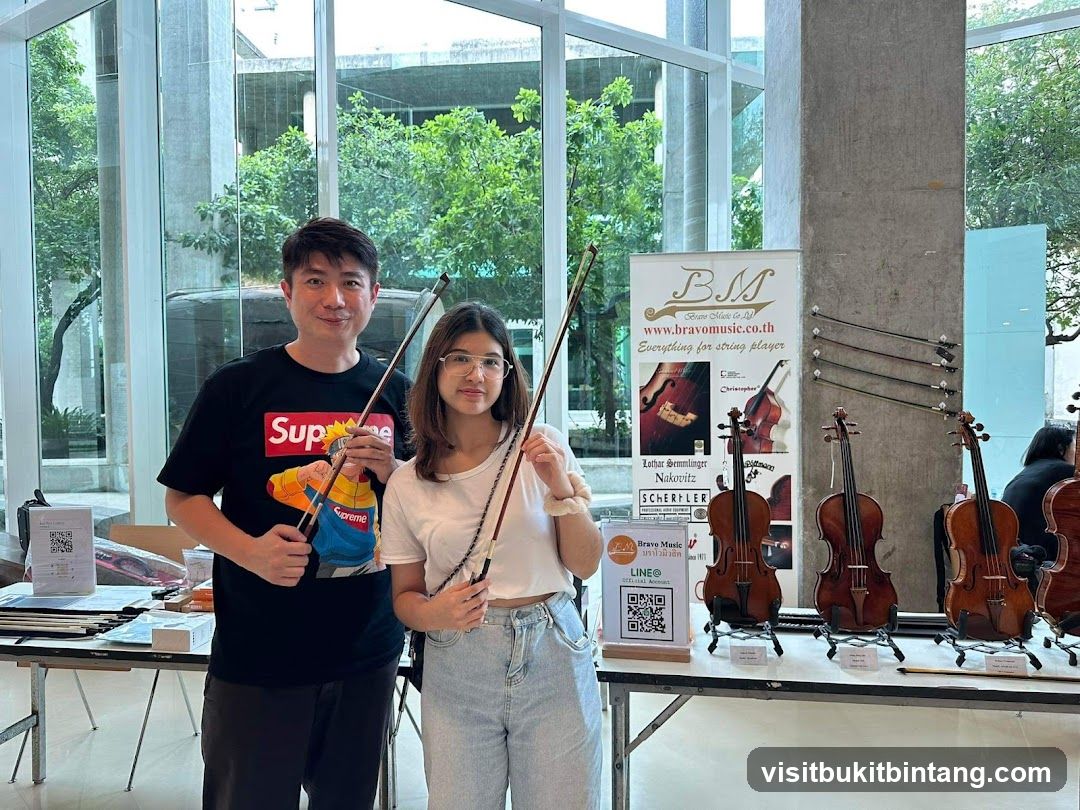 Violin Display
