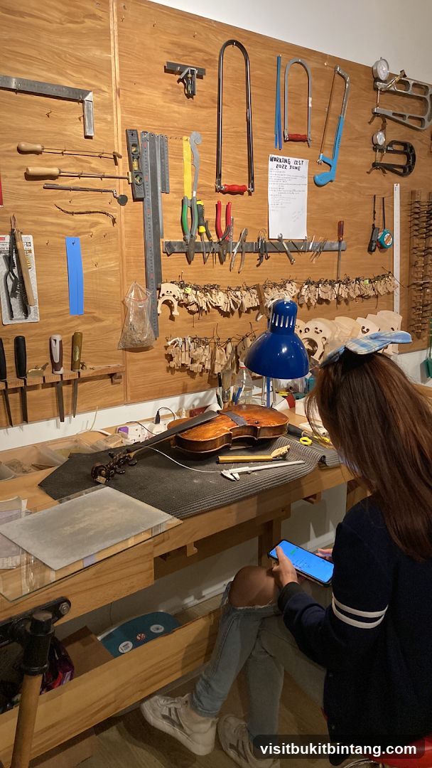 Violin Workshop