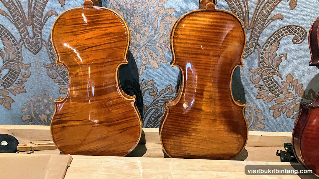 Two Violins