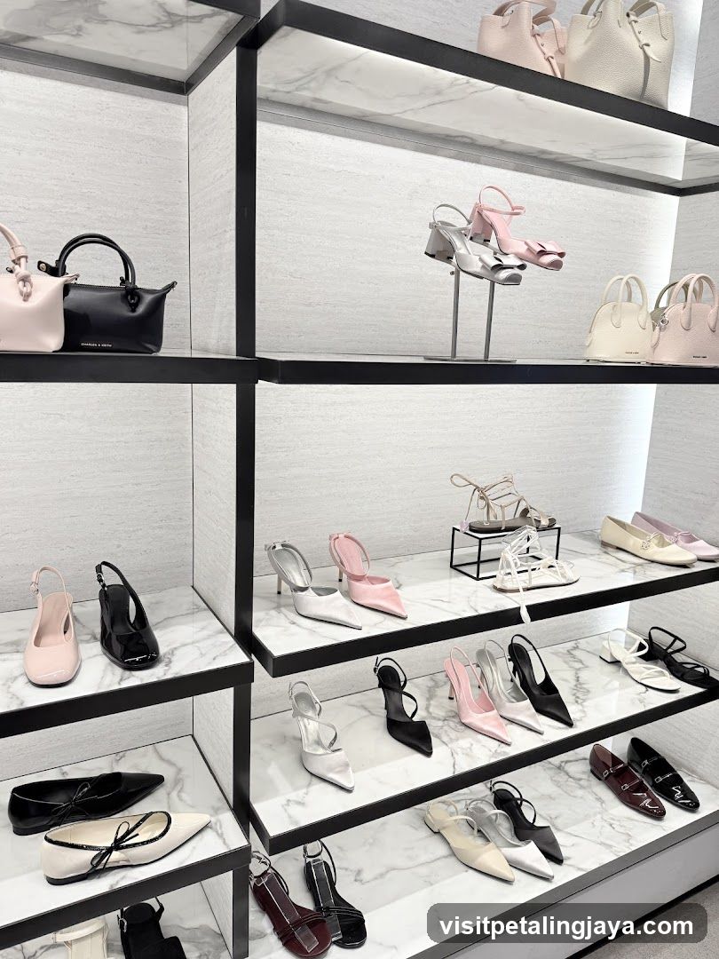 Shoe and Handbag Display