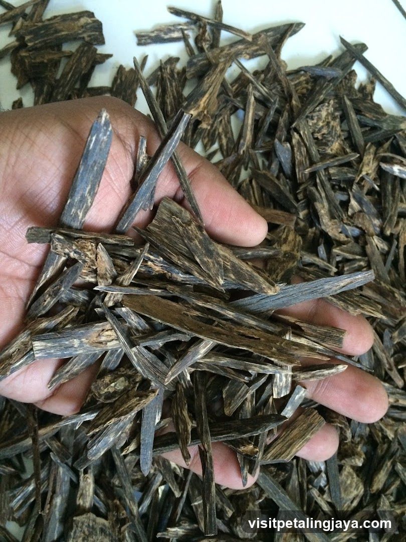 Hand holding dried wood chips