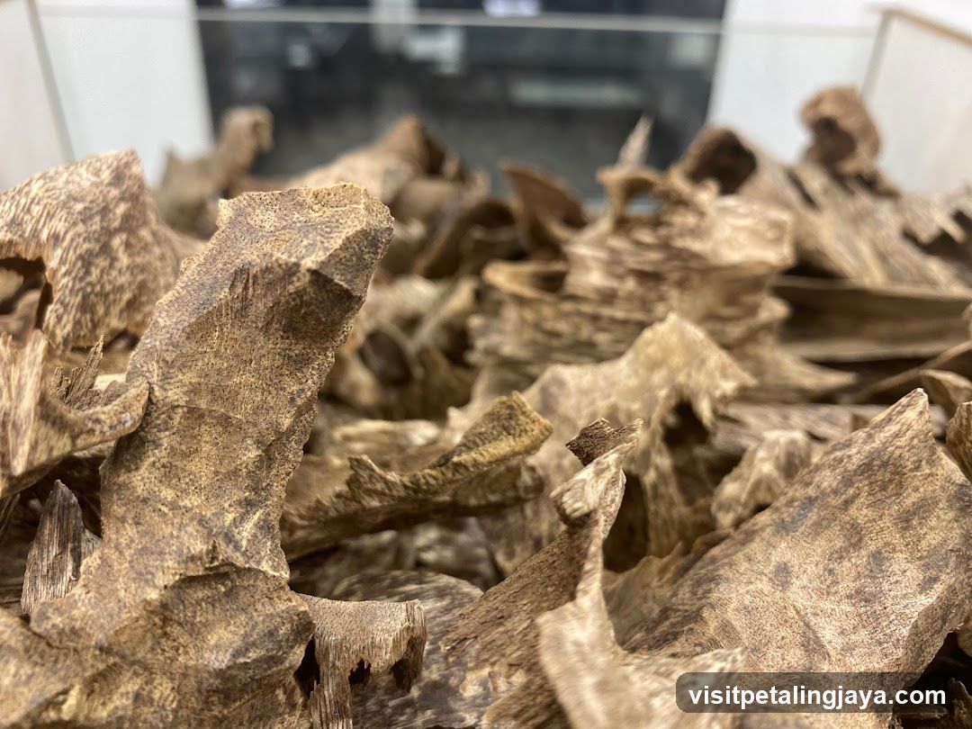 Pile of dried wood chips or bark fragments