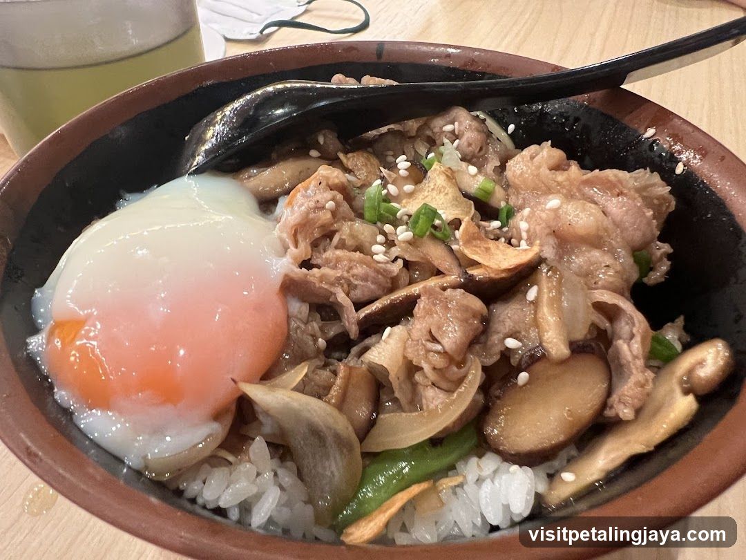 Bowl of Beef Rice with Egg and Mushrooms