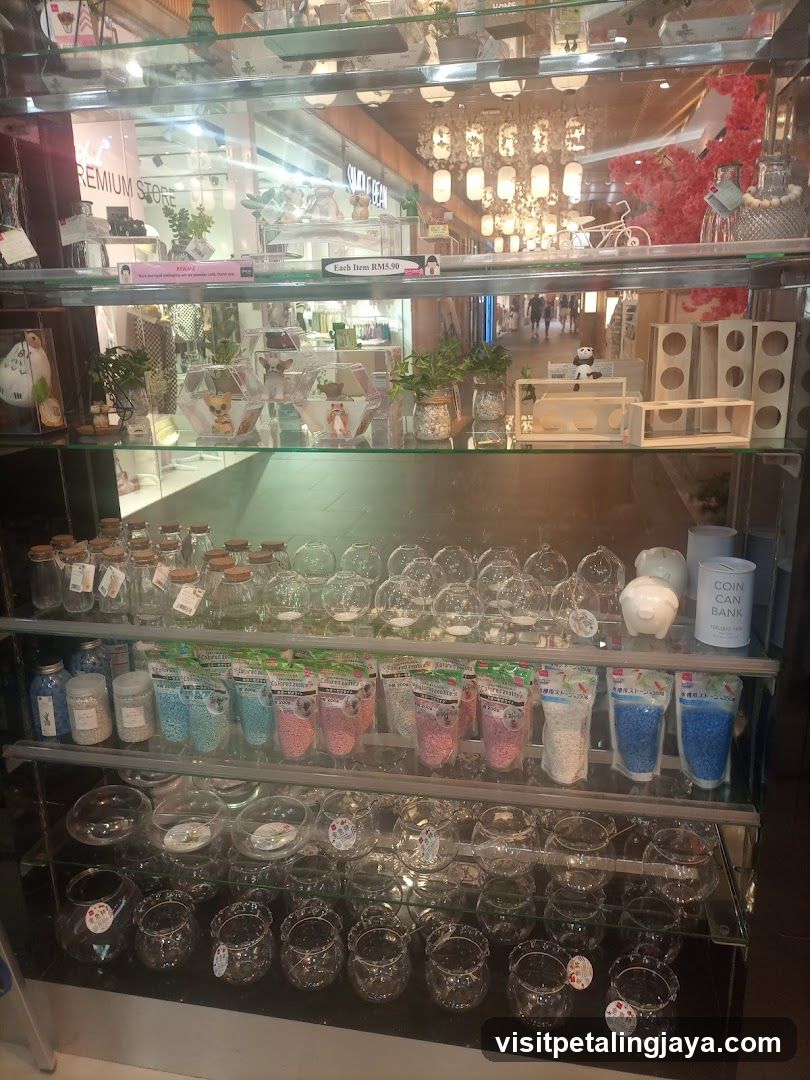 Glass Terrarium and Decor Display
