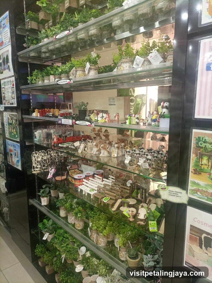 Miniature Garden Display Shelf