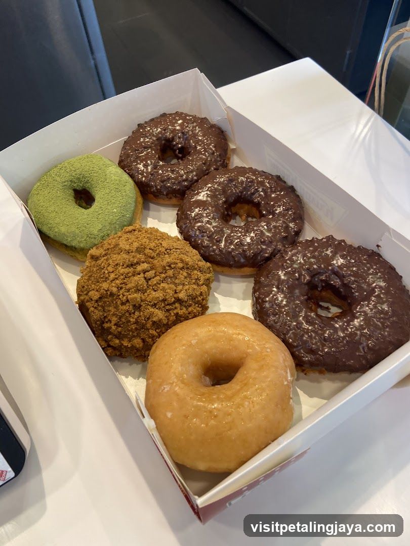 Donut Box