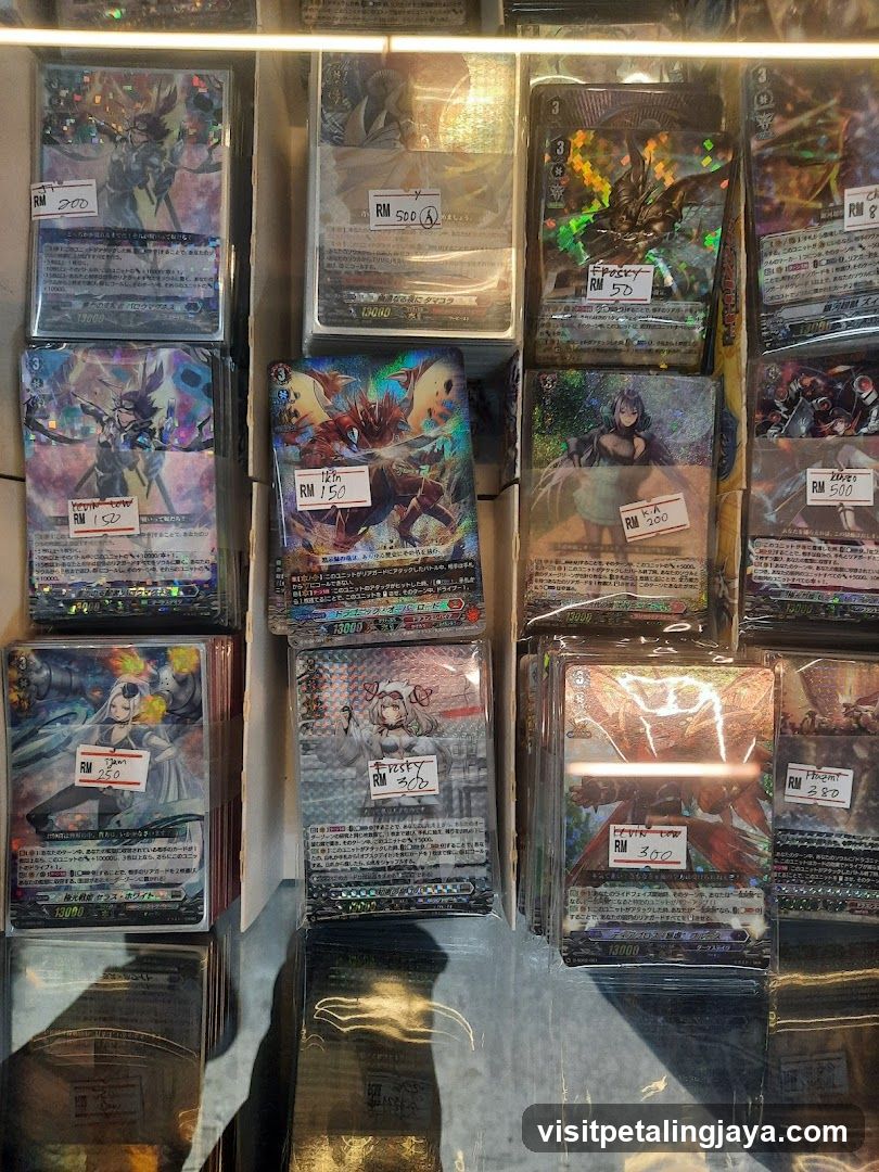 Trading Card Display Case