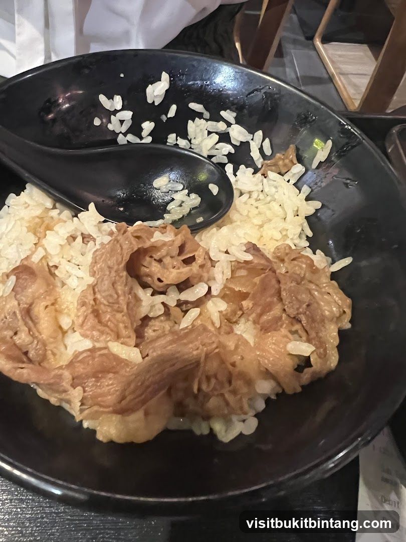 Beef and Rice Bowl