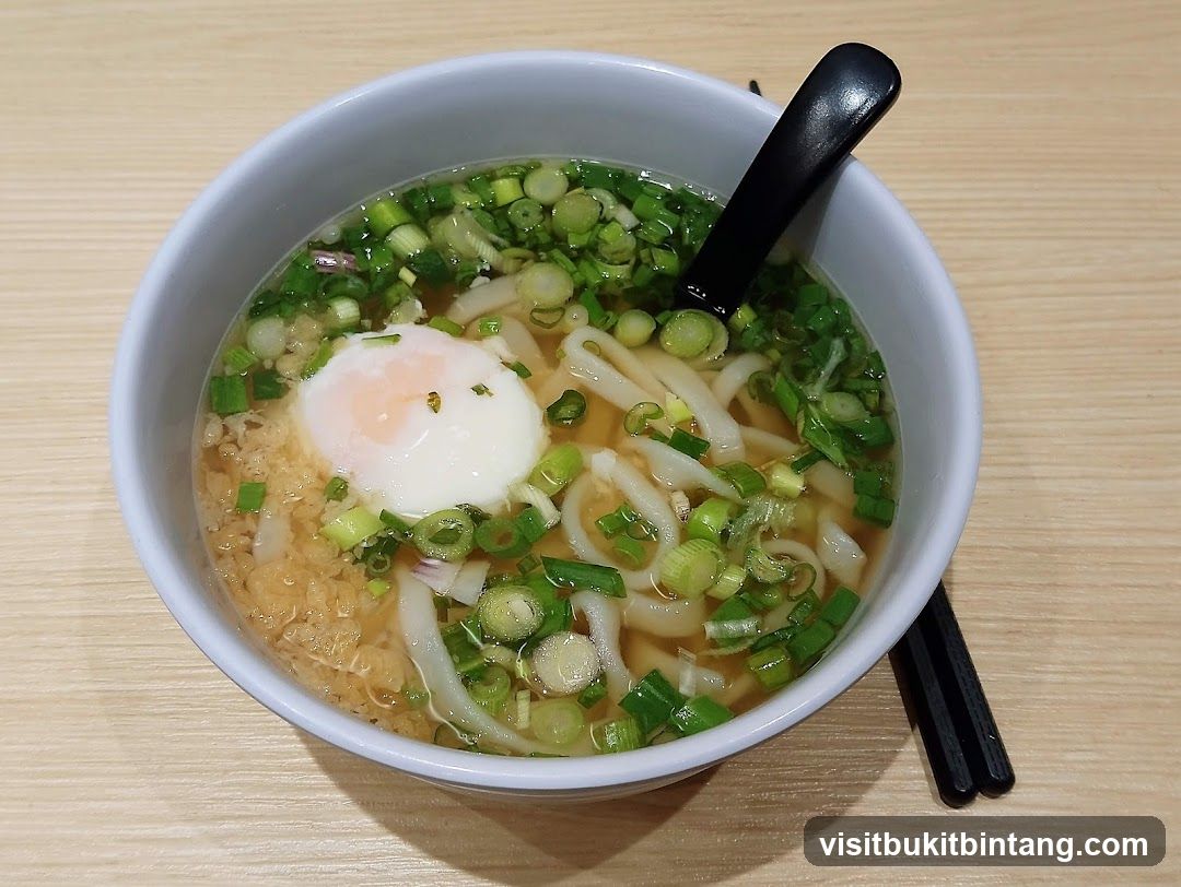 Udon Noodle Soup