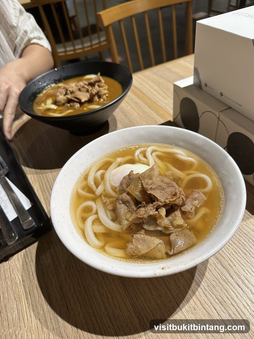 Udon Noodles