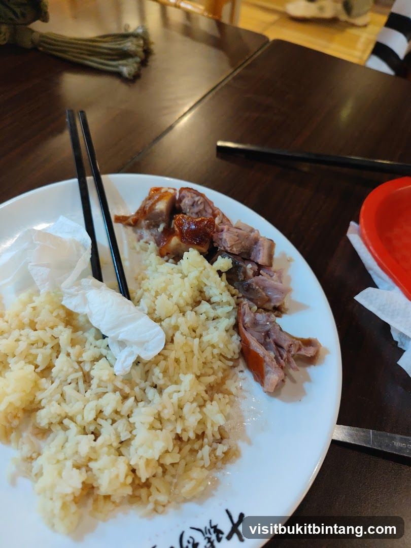 Roast Duck and Rice
