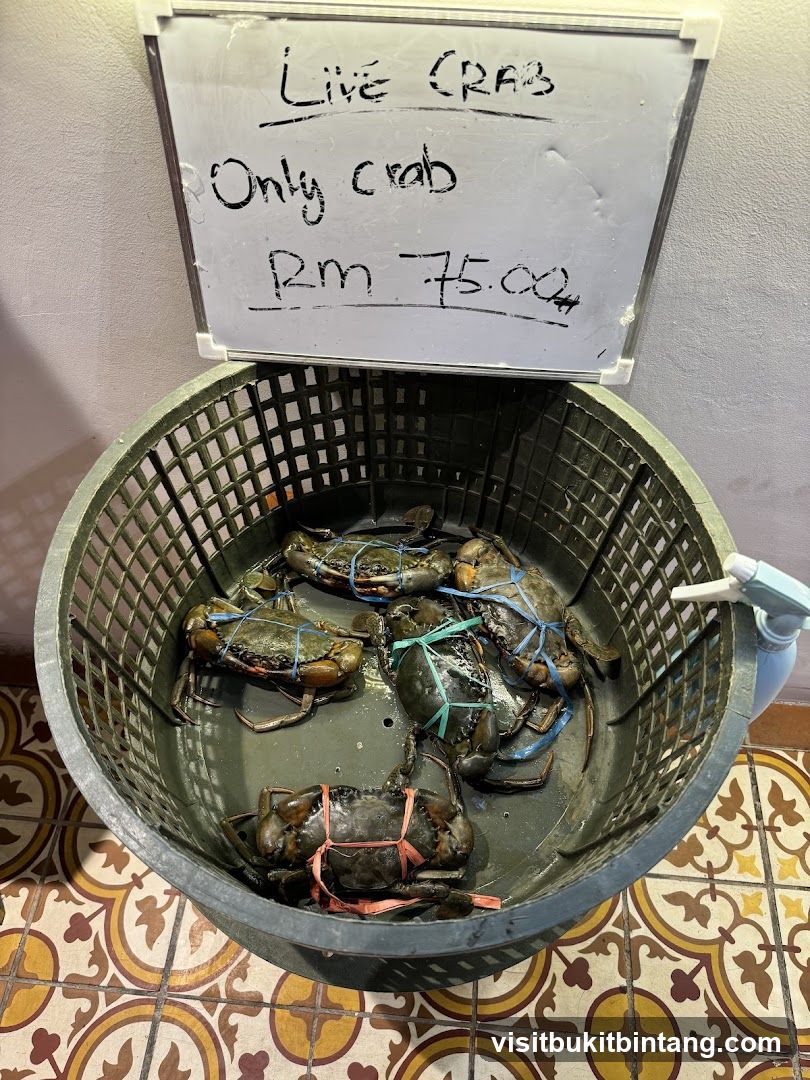 Live Crabs for Sale