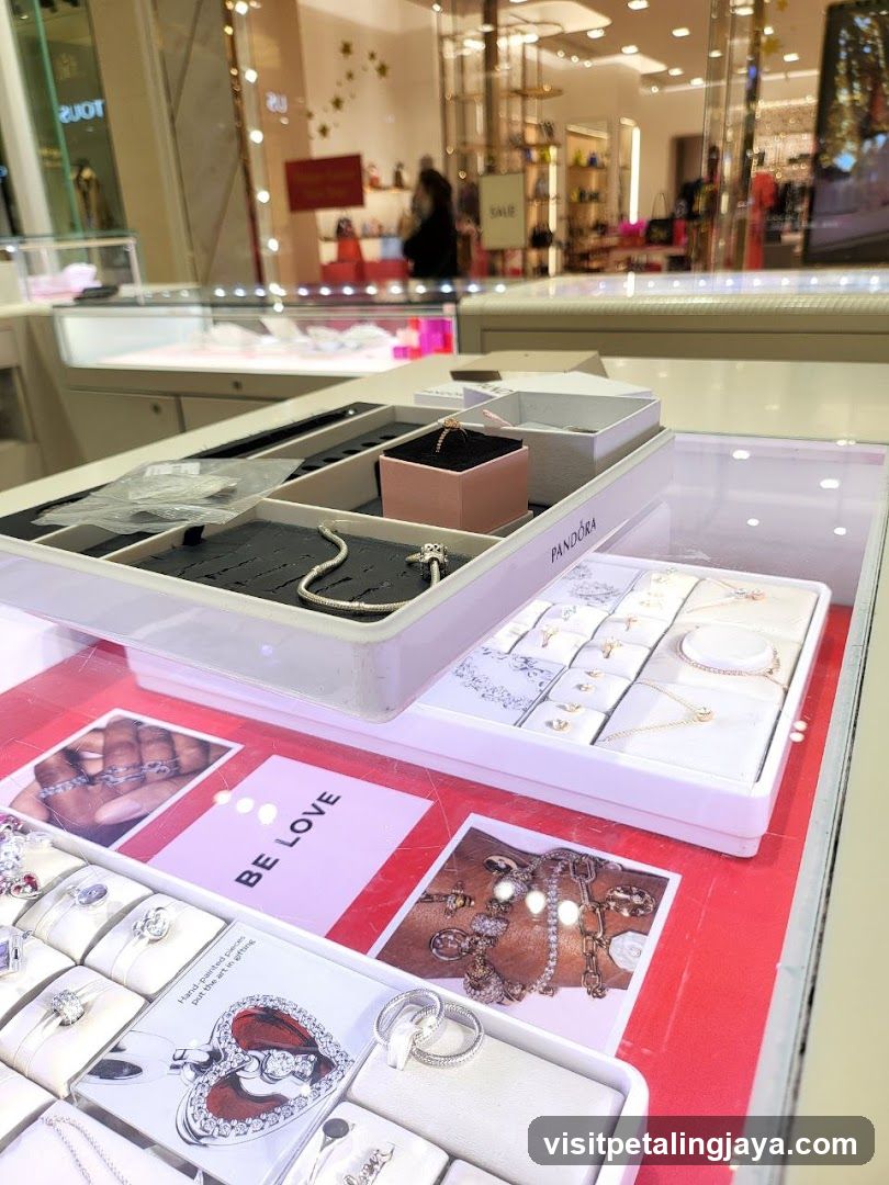 Jewelry Display Case