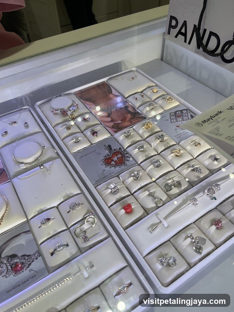 Jewelry Display Case