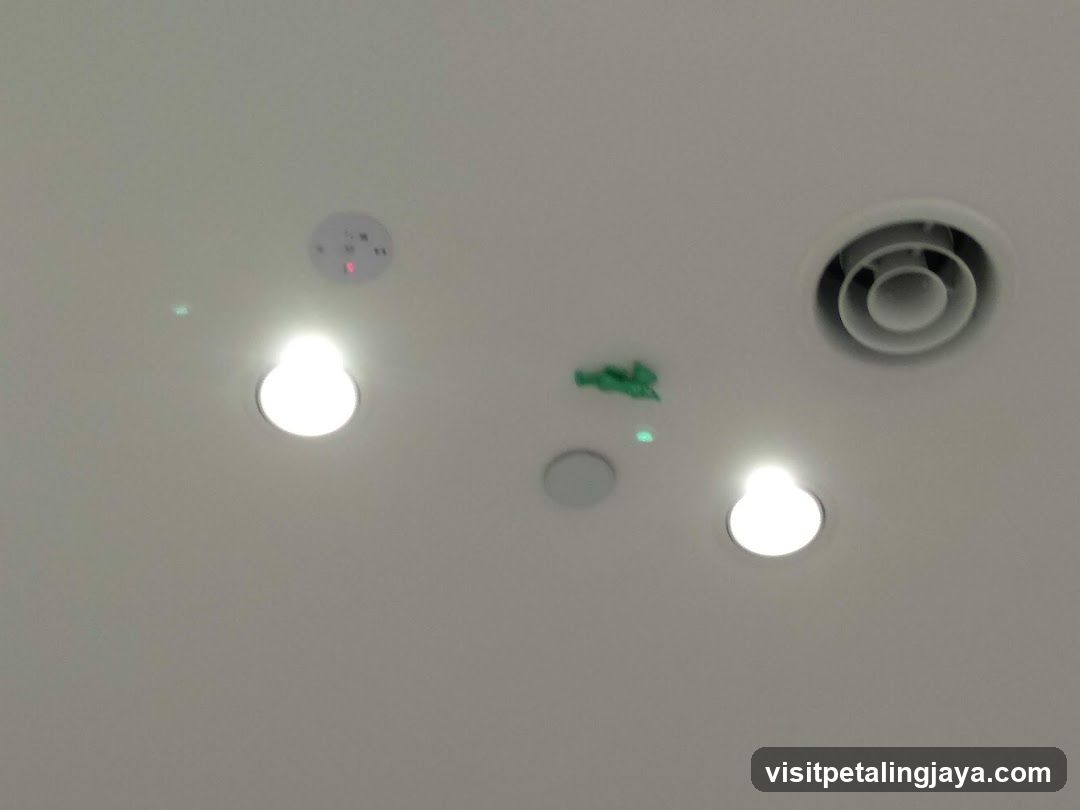 Ceiling fixtures and sensors