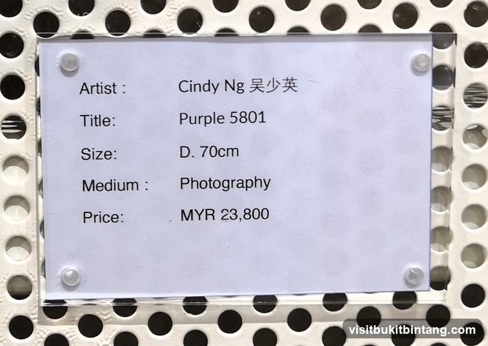 Artwork Information Card