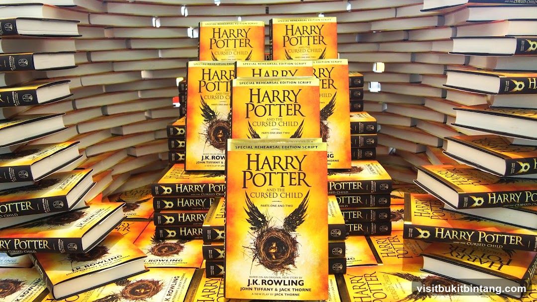 Harry Potter and the Cursed Child Book Display