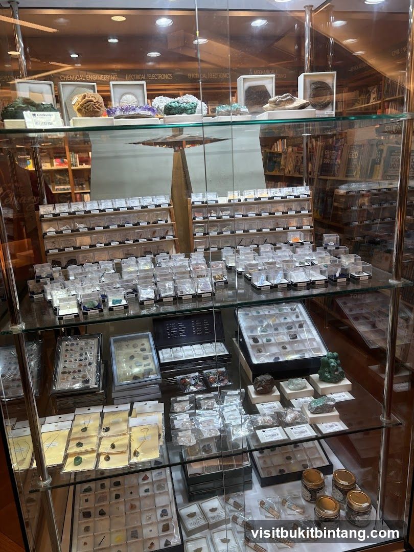 Display Case of Minerals and Geological Specimens