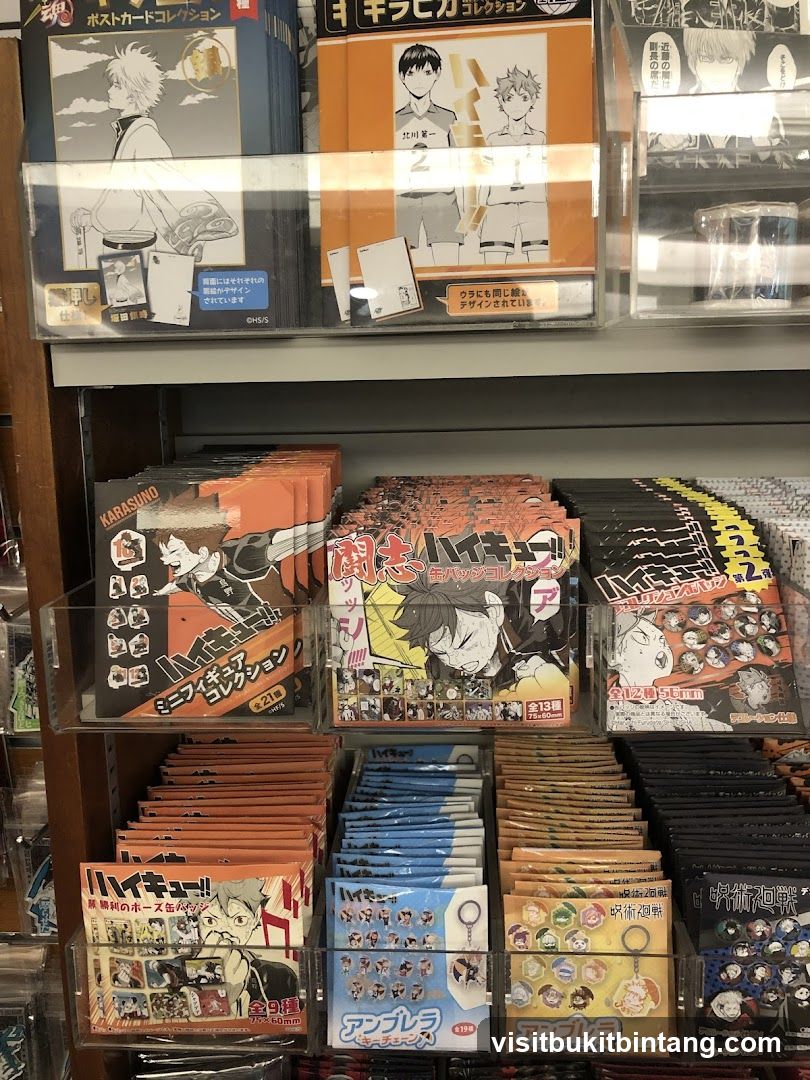 Anime Merchandise Display