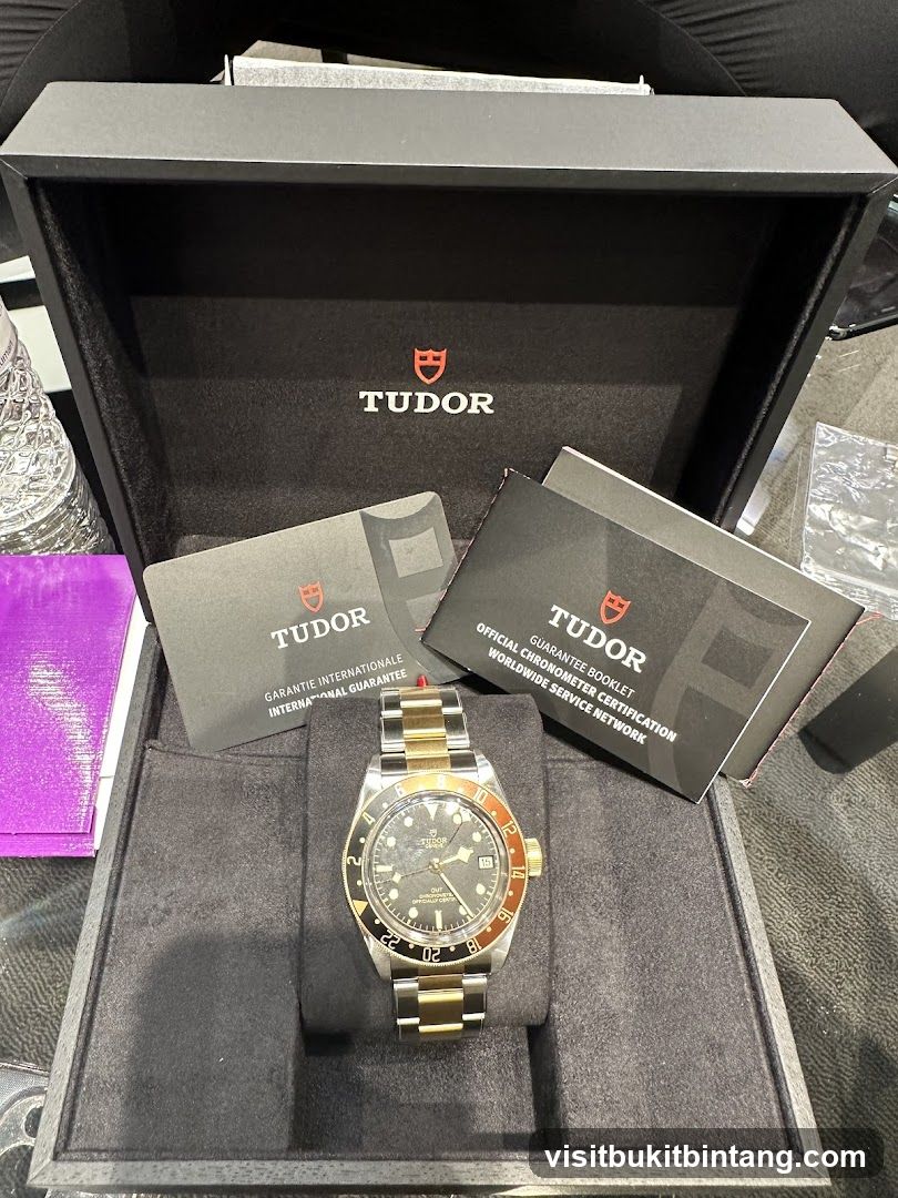 Tudor Watch and Documentation