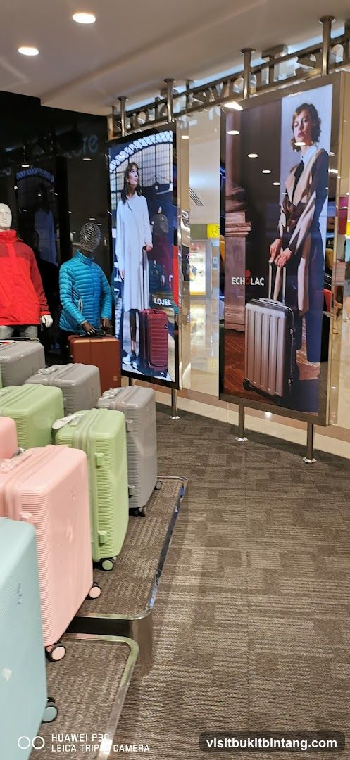 Luggage Display with Advertisements