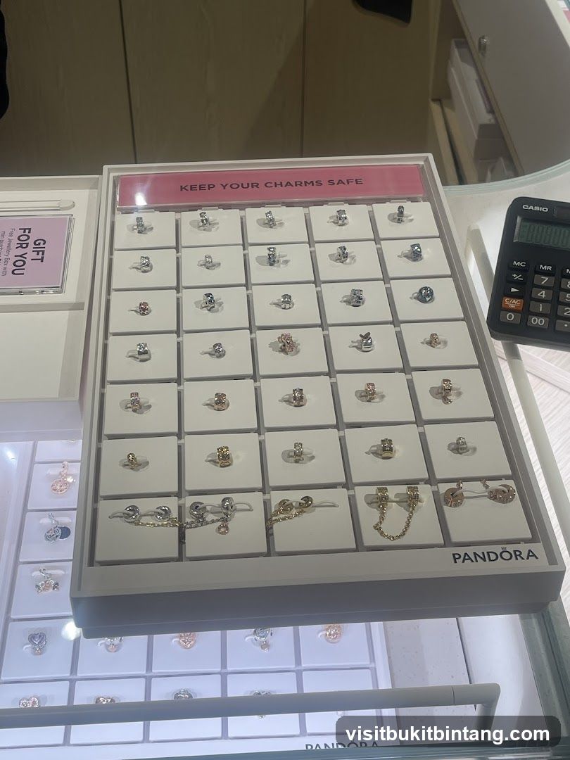 Pandora Charms Display