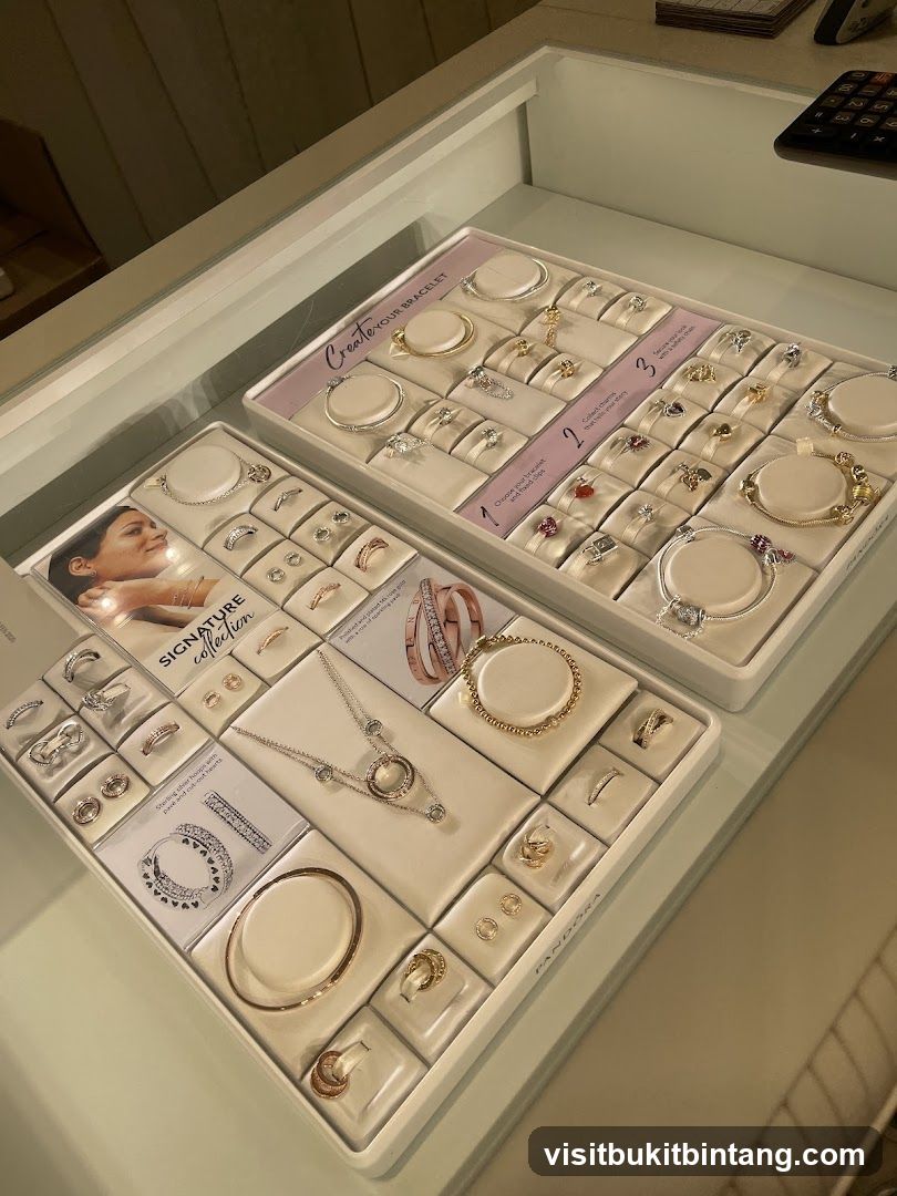 Jewelry Display Case