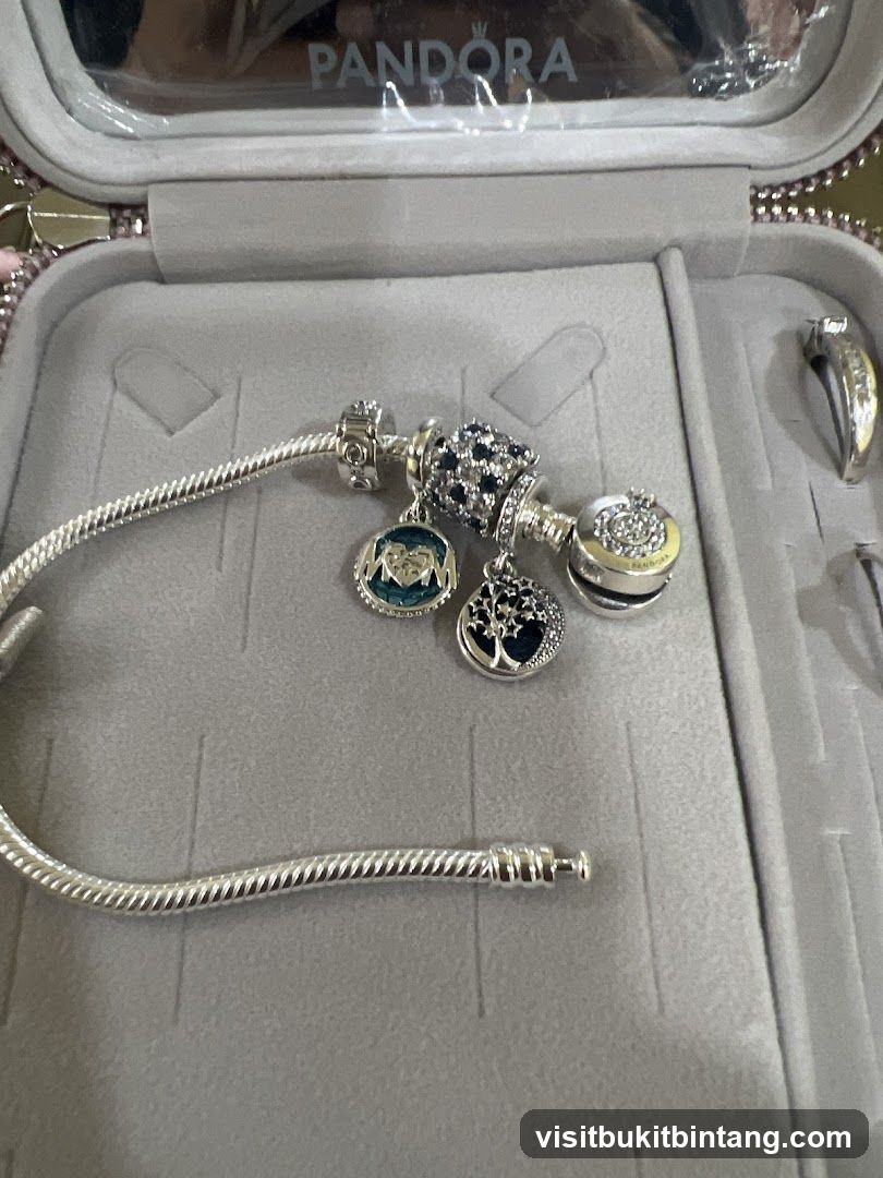 Pandora Bracelet and Charms