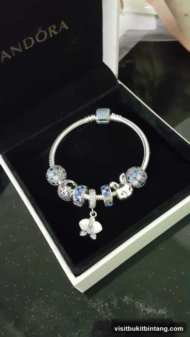 Pandora Bracelet with Charms