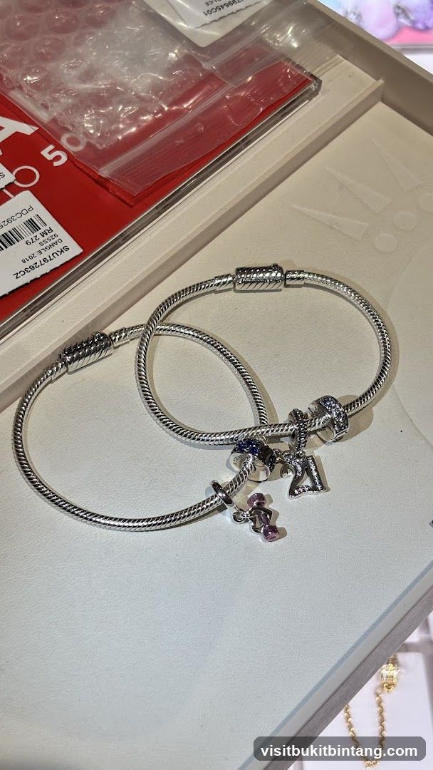 Pandora Bracelets with Charms