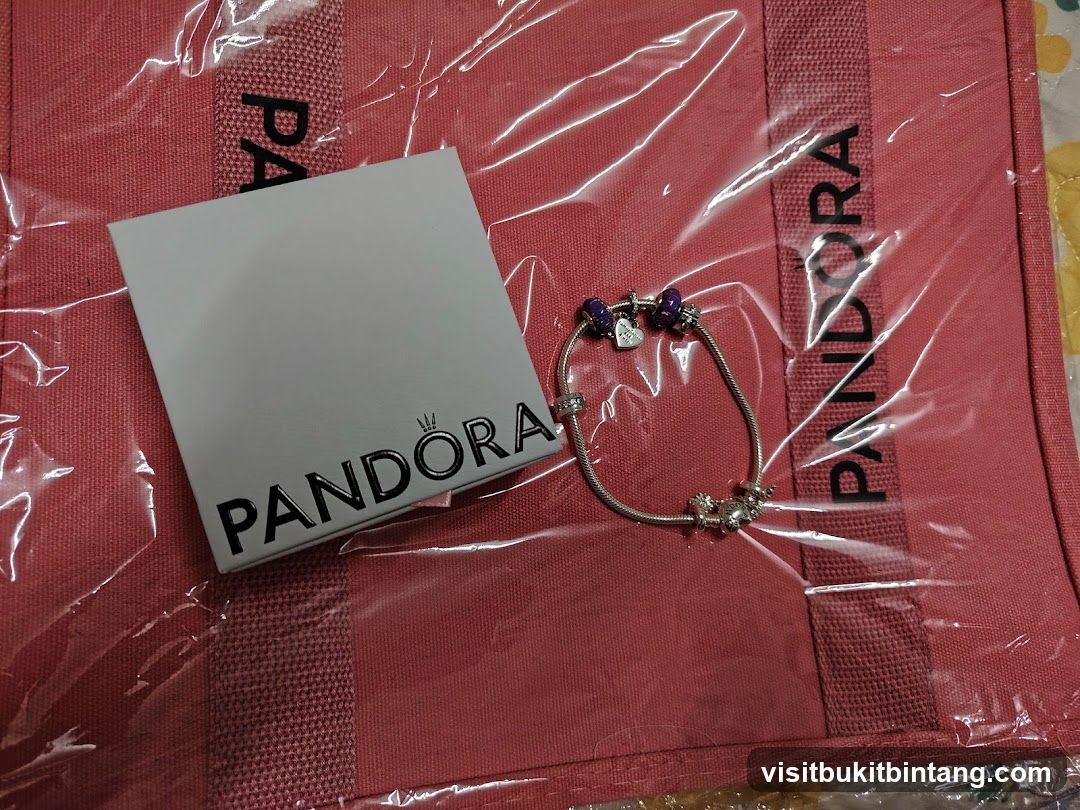 Pandora Bracelet and Gift Bag