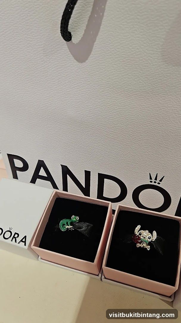 Pandora Charms