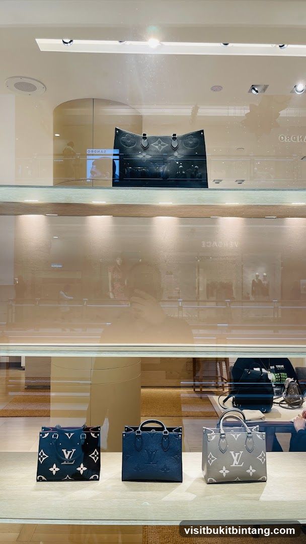 Louis Vuitton Handbags in Display Window