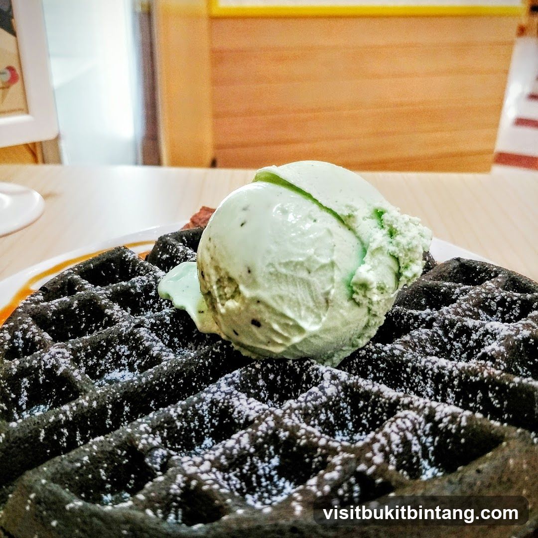 Dark Waffle with Ice Cream