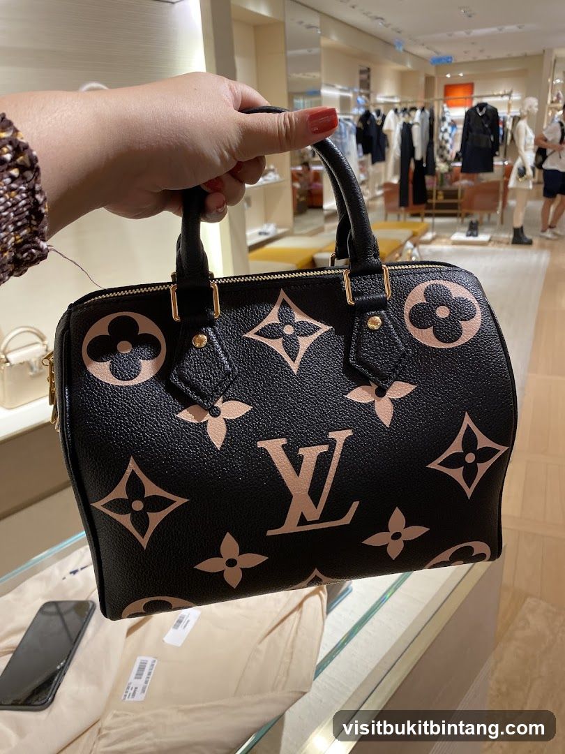 Hand holding a black handbag with Louis Vuitton monogram