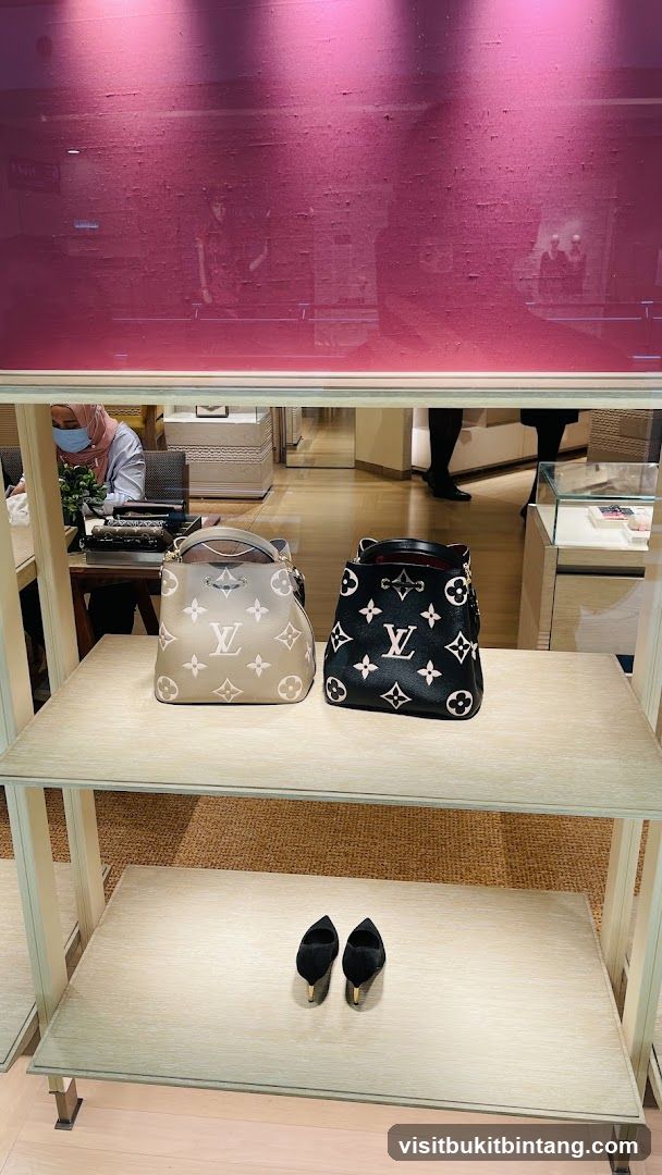 Louis Vuitton Handbags and Shoes